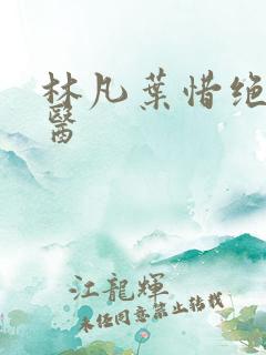 林凡叶惜绝世邪医
