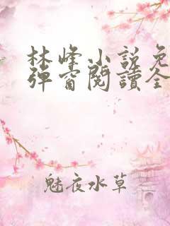 林峰小说免费无弹窗阅读全文