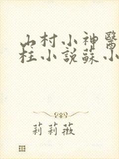 山村小神医王铁柱小说苏小汐