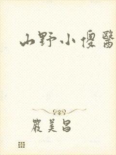 山野小傻医小说