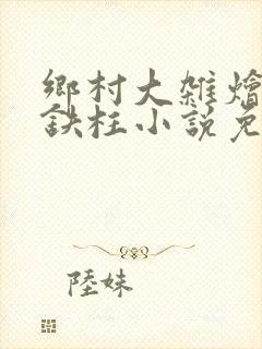乡村大杂烩会王铁柱小说免费阅读下