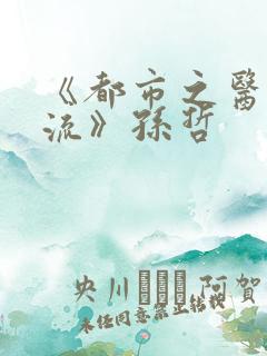《都市之医武风流》孙哲
