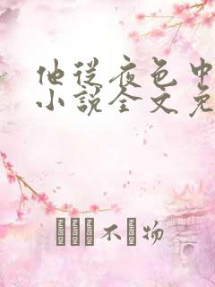 他从夜色中走来小说全文免费阅读