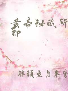 黄帝秘藏所有章节