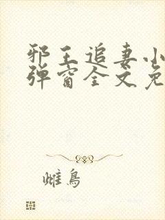 邪王追妻小说无弹窗全文免费阅读