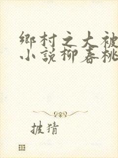 乡村之大被同眠小说柳春桃