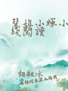 慧姐小辉小说在线阅读