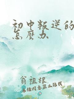 初中叛逆的男孩怎么办