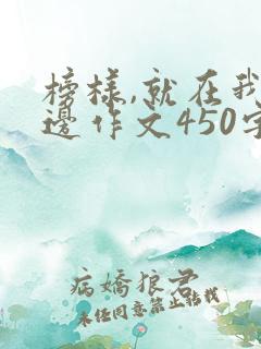 榜样,就在我身边作文450字