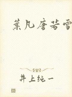 叶凡唐若雪王婿