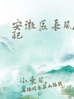 安徽区长风流日记