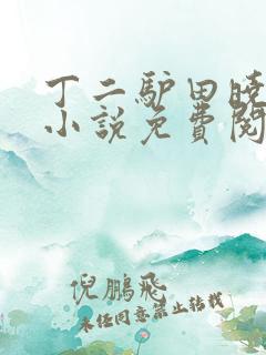 丁二驴田晓兰的小说免费阅读笔趣阁