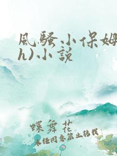 风骚小保姆(高h)小说