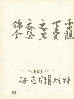 锦衣之下电视剧全集免费观看高清