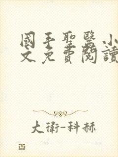国手圣医小说全文免费阅读