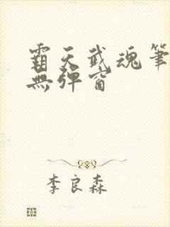 霸天武魂笔趣阁无弹窗