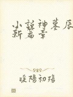 小说神墓辰东最新篇章