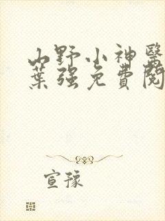 山野小神医小说叶强免费阅读