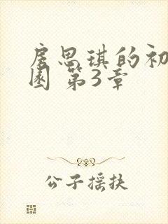 房思琪的初恋乐园 第3章
