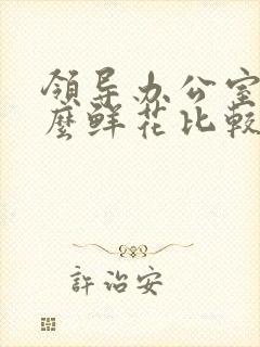 领导办公室放什么鲜花比较好