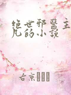 绝世邪医主角林凡的小说