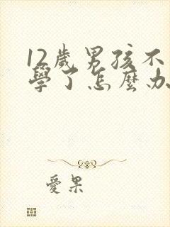 12岁男孩不上学了怎么办