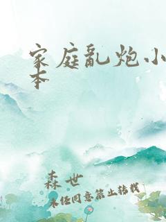 家庭乱炮小说全本