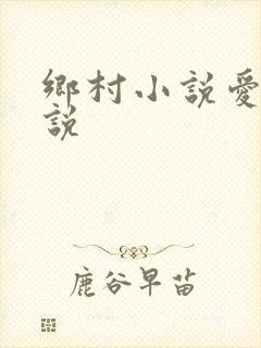 乡村小说爱情小说