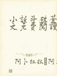 小说斗破苍穹全文免费阅读在线