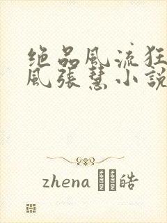 绝品风流狂医林风张慧小说完全版