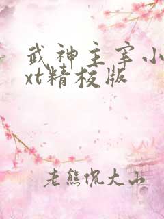 武神主宰小说txt精校版