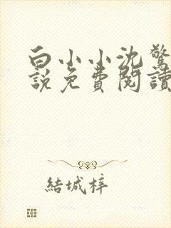 白小小沈惊觉小说免费阅读