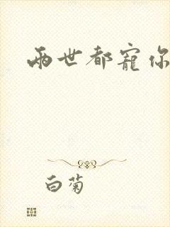 两世都宠你小说