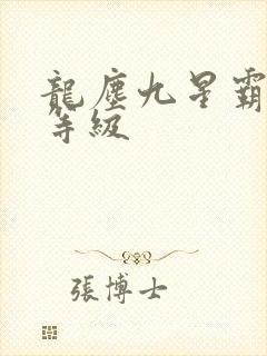 龙尘九星霸体诀等级