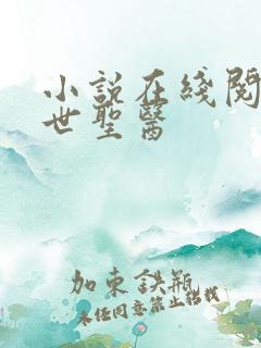 小说在线阅读绝世圣医