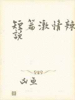 短篇激情辣文小说