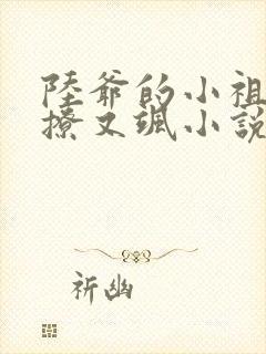 陆爷的小祖宗又撩又飒小说全文免费阅读