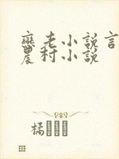 恋老小说言情网农村小说