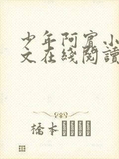 少年阿宾小说全文在线阅读