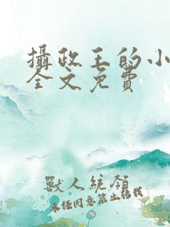 摄政王的小毒妃全文免费