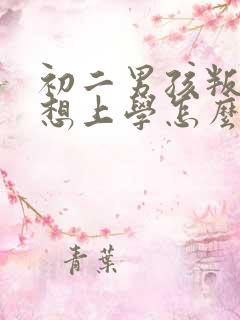 初二男孩叛逆不想上学怎么办