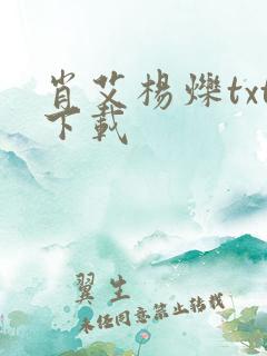肖艾杨烁txt下载