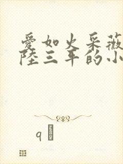 爱如火采薇阿铭陆三平的小说