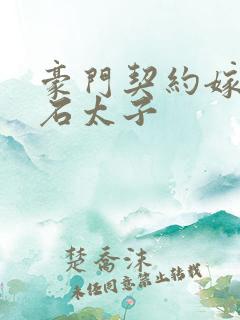 豪门契约嫁给钻石太子