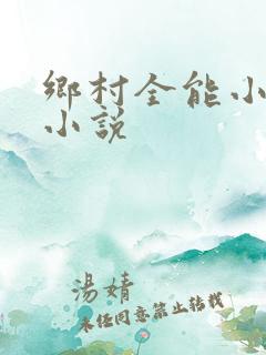 乡村全能小医仙小说