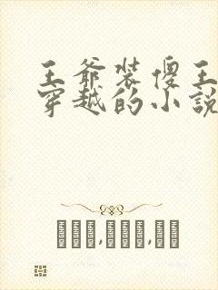 王爷装傻王妃是穿越的小说