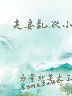 夫妻乱欲小说