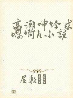高潮呻吟求饶h嗯啊h小说