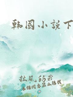 韩国小说下载