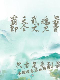 霸天武魂最新章节全文免费阅读